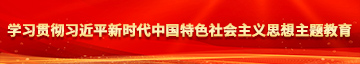 极品骚逼少萝被操学习贯彻习近平新时代中国特色社会主义思想主题教育